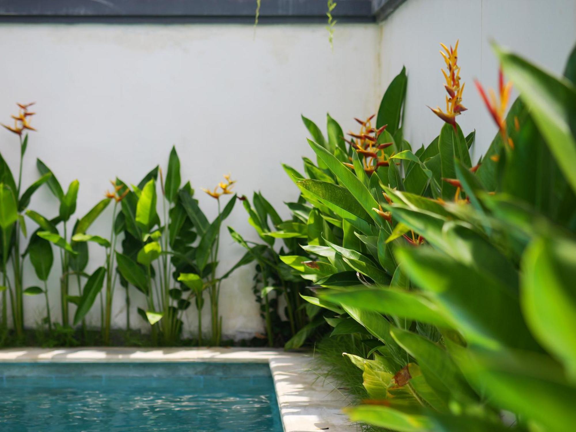 Ken Ken Guest House 塞米亚克 外观 照片